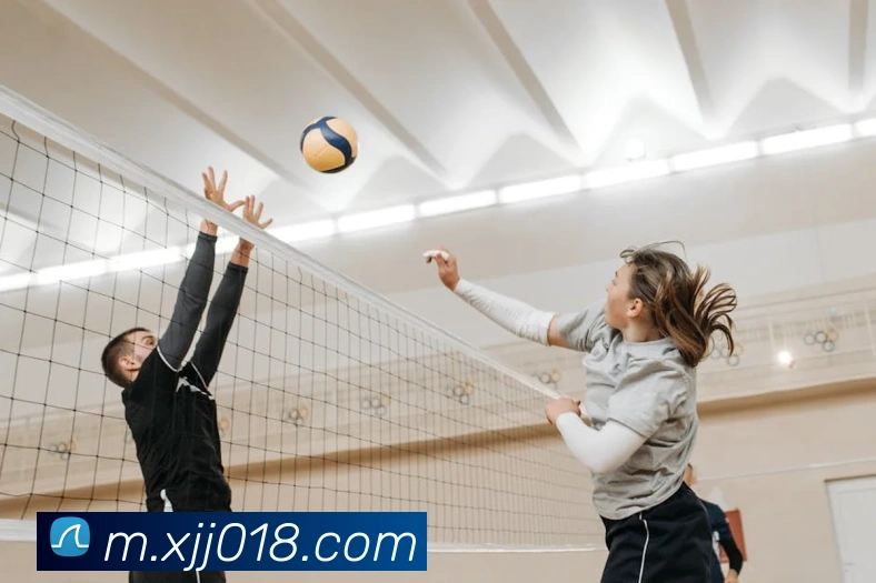 赛事专题整合